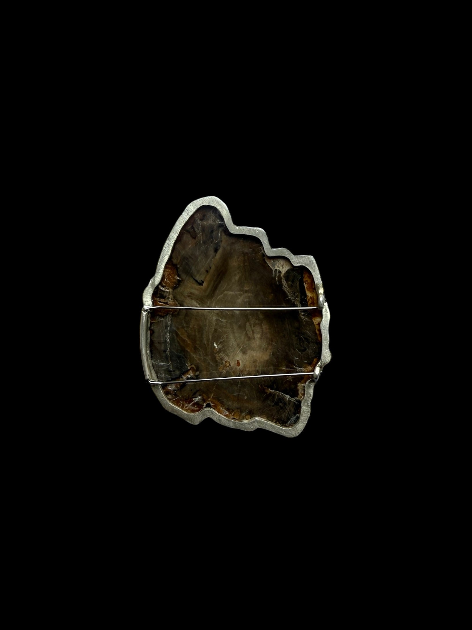 Petrified Wood Brooch, Supported by a Silver Frame